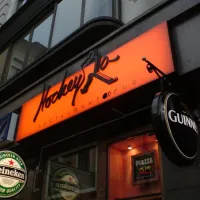 Hockeyka
 <div class="gallery-item-img-tags">jednostranné panely</div>