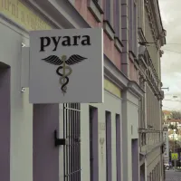 Pyara - dibondová výstrč 

<div class="gallery-item-img-tags">oboustranné panely - výstrče | bondové panely</div>